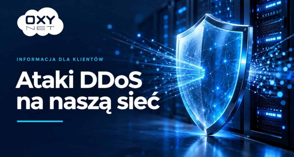 Ochrona sieci przed atakami DDoS